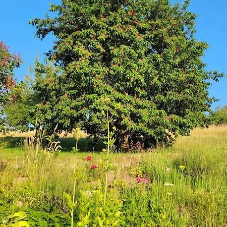 Villa Domaine De La Charriere Sur 63 Ares - 8 Pers Grand Confort *