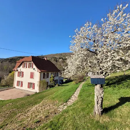 Domaine De La Charriere Sur 63 Ares - 8 Pers Grand Confort Neuviller