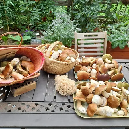 Domaine De La Charriere Sur 63 Ares - 8 Pers Grand Confort Villa Neuviller