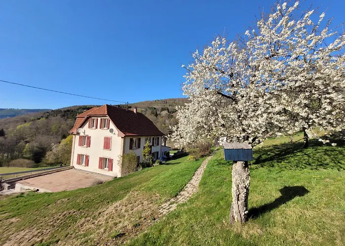 Domaine De La Charriere Sur 63 Ares - 8 Pers Grand Confort Neuviller