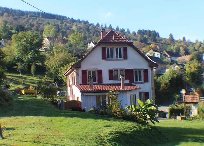 Domaine De La Charriere Sur 63 Ares - 8 Pers Grand Confort Neuviller