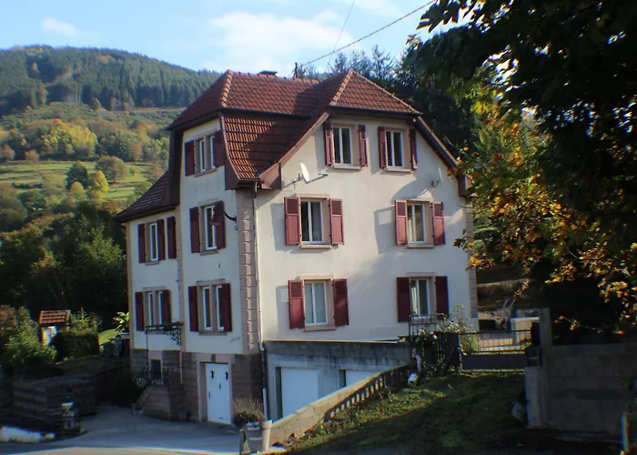 Villa Domaine De La Charriere Sur 63 Ares - 8 Pers Grand Confort Neuviller
